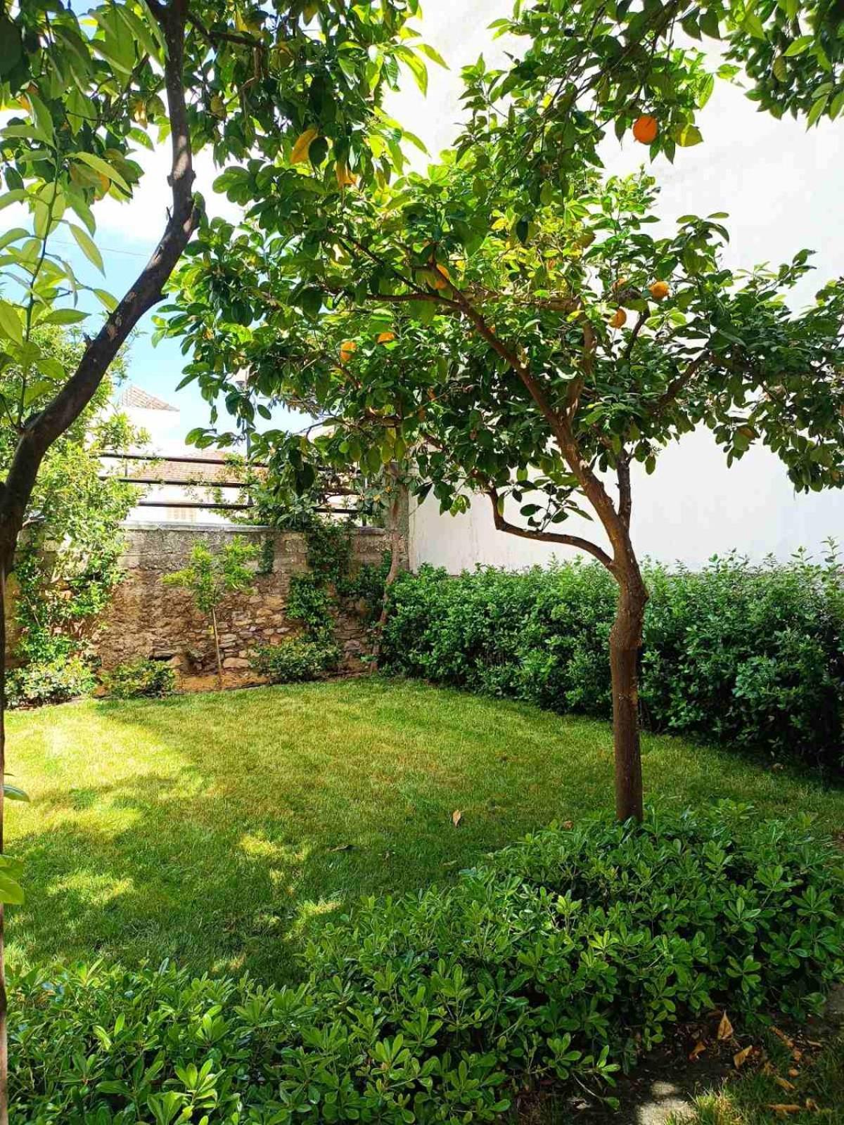 Villa Betty'S Garden House Néa Ankhíalos Esterno foto