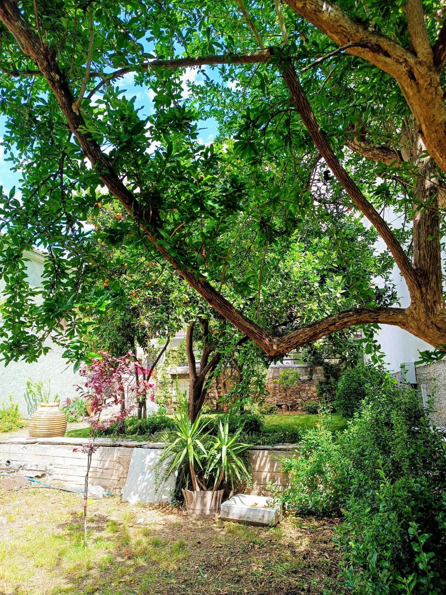 Villa Betty'S Garden House Néa Ankhíalos Camera foto